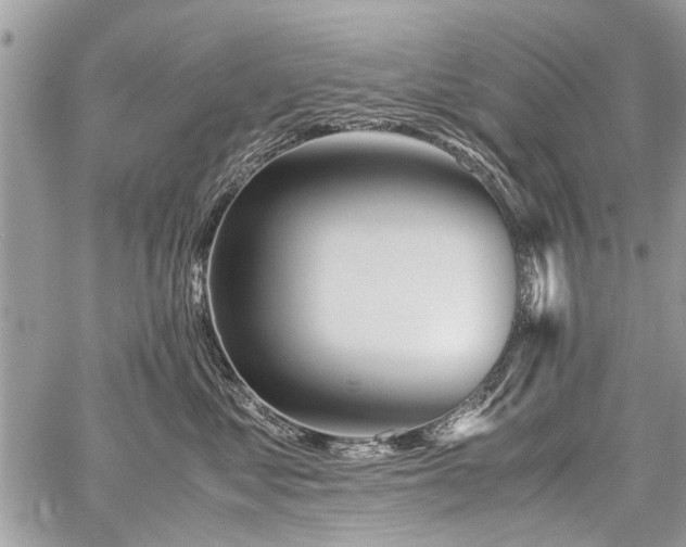 X0000059800621200510211053