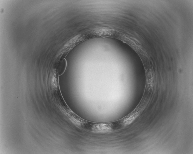 X0000059800622200510211053