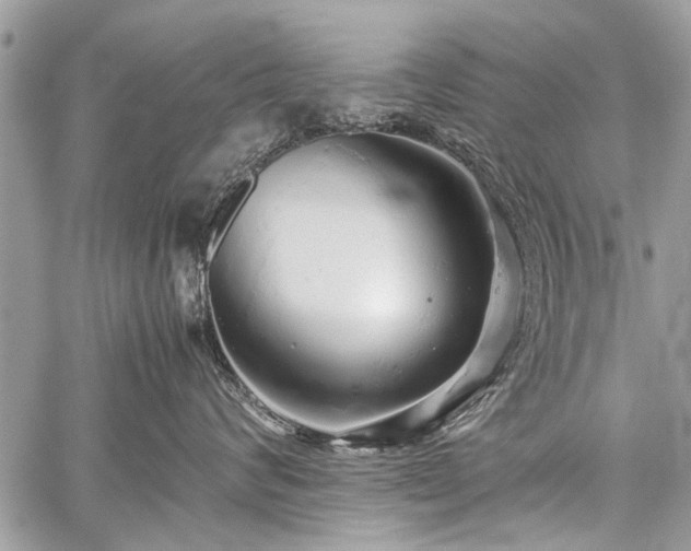 X0000059800624200510211053