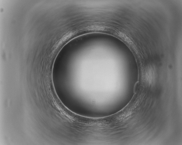 X0000059800625200510211052