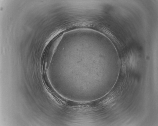 X0000059800626200510211052