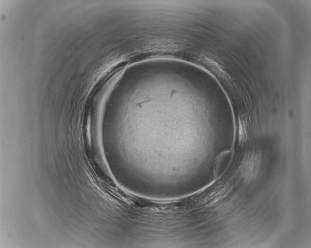 X0000059800627200510211052