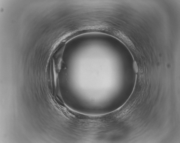 X0000059800628200510211052