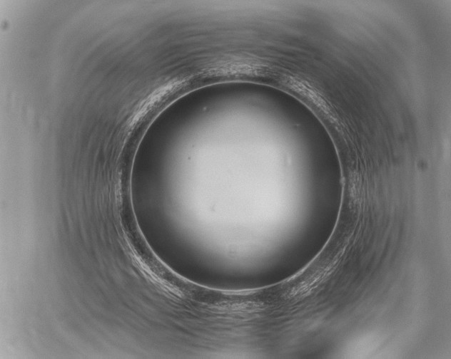 X0000059800629200510211052