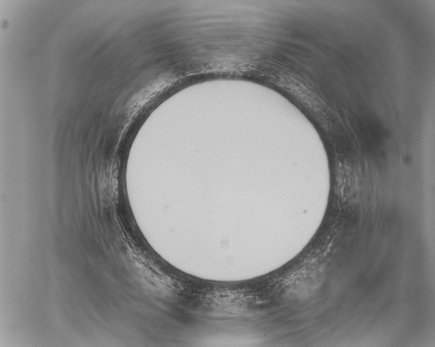 X0000059800632200510211052