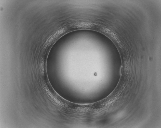 X0000059800633200510211052