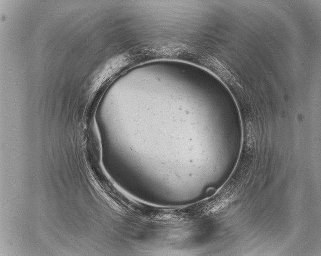 X0000059800634200510211052