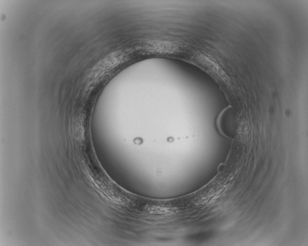 X0000059800635200510211052