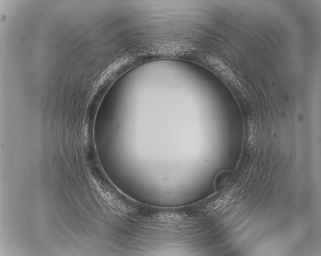 X0000059800636200510211052