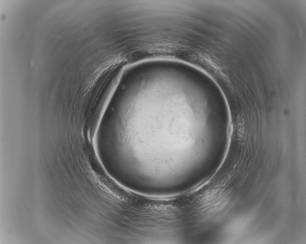 X0000059800637200510211052