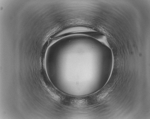 X0000059800638200510211052