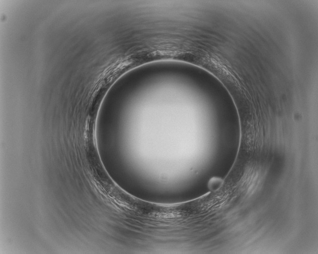 X0000059800639200510211052