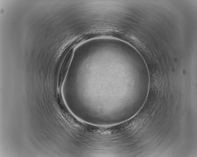 X0000059800640200510211052