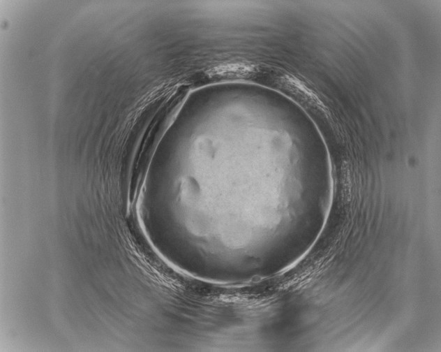 X0000059800641200510211052