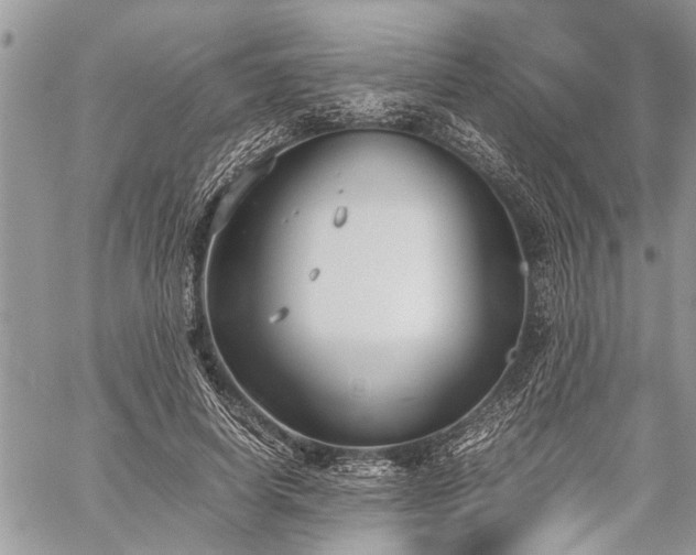 X0000059800642200510211053