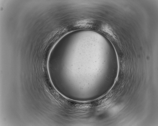 X0000059800643200510211053