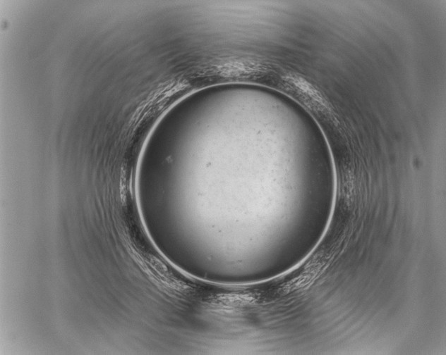 X0000059800644200510211053