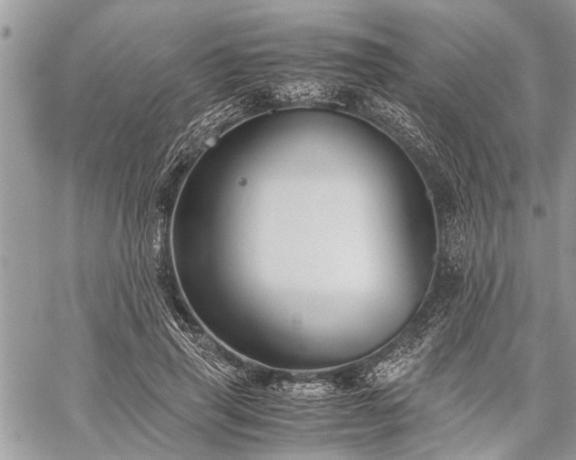 X0000059800645200510211053