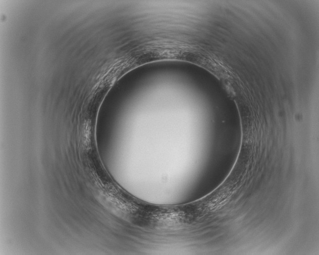 X0000059800646200510211053