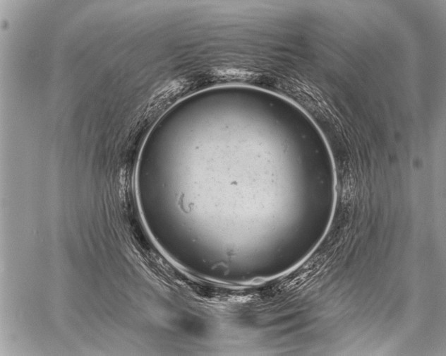 X0000059800647200510211053