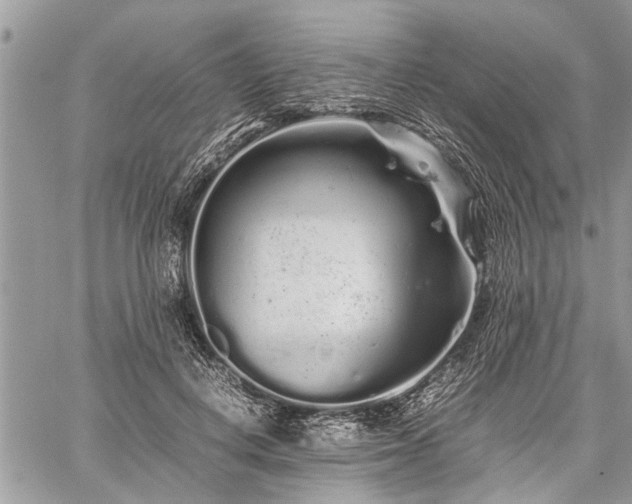 X0000059800648200510211053