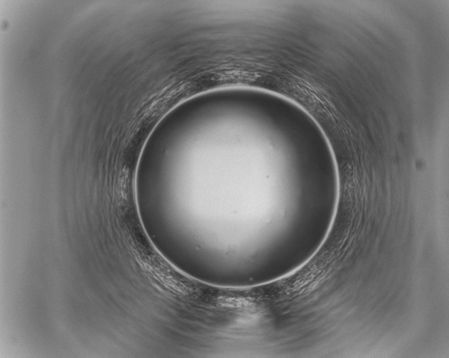 X0000059800649200510211053