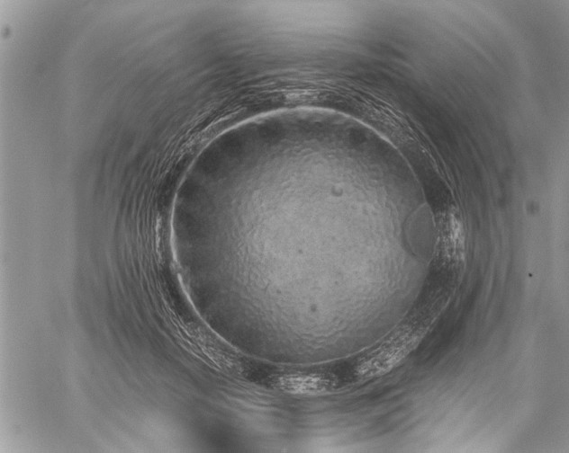 X0000059800650200510211053