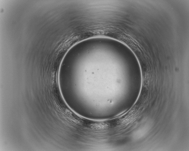 X0000059800652200510211053