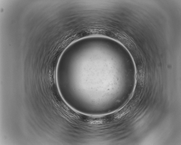 X0000059800653200510211053