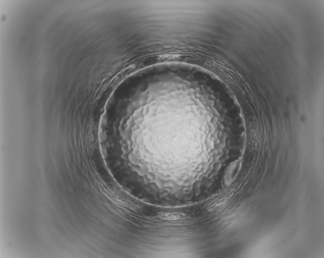 X0000059800654200510211053