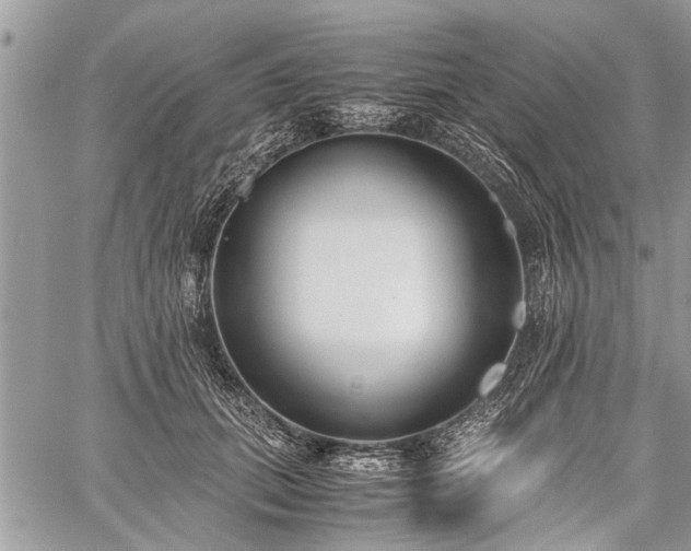 X0000059800655200510211053