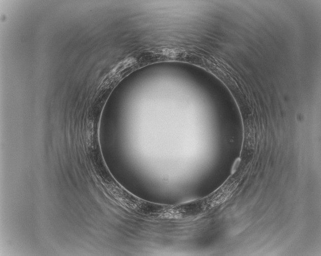 X0000059800656200510211053