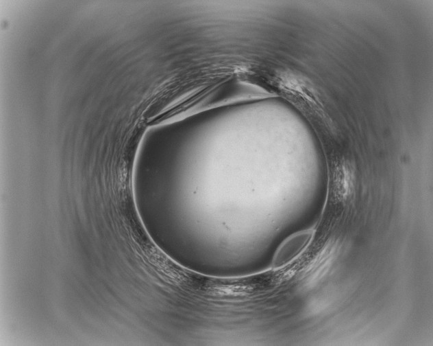 X0000059800657200510211053