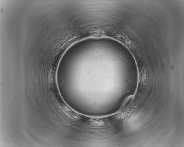 X0000059800658200510211053