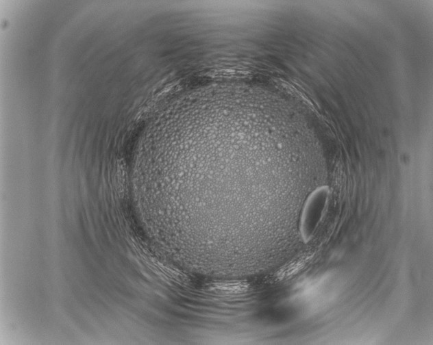 X0000059800659200510211053