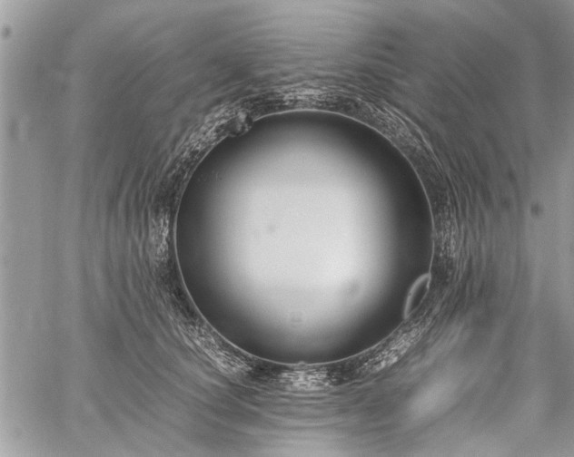 X0000059800660200510211053