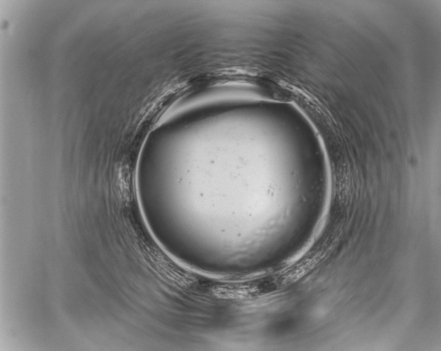 X0000059800661200510211053