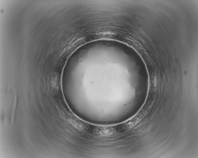 X0000059800663200510211053