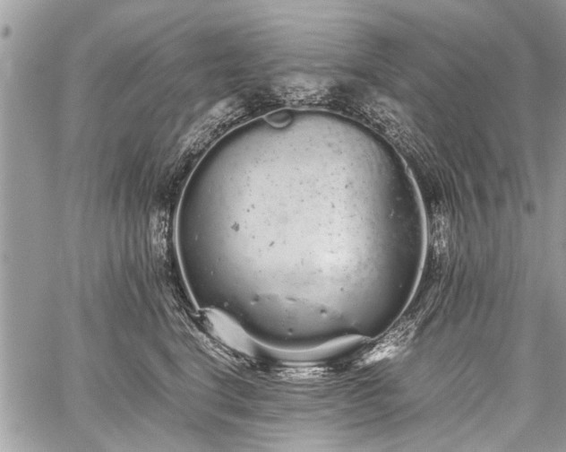 X0000059800664200510211053