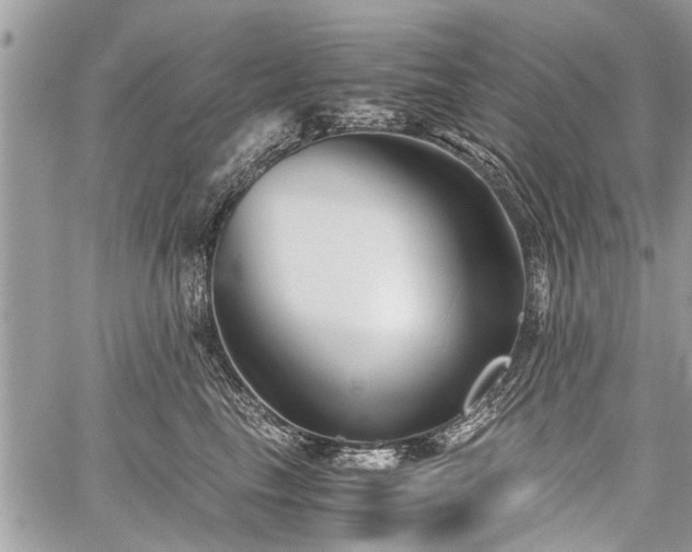 X0000059800665200510211053