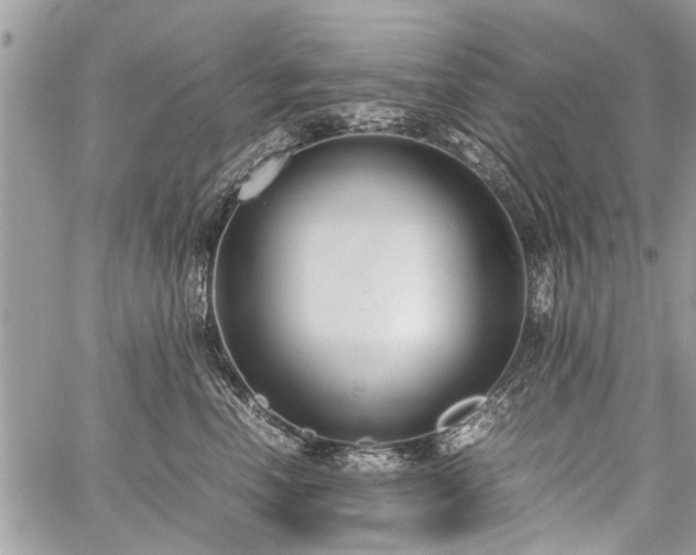 X0000059800666200510211053