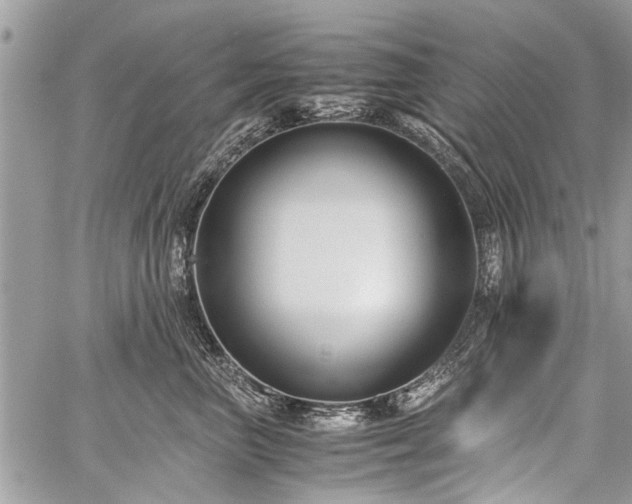 X0000059800667200510211053