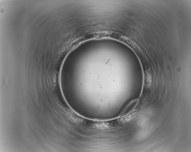 X0000059800668200510211053