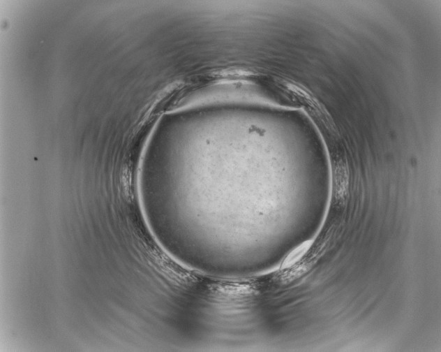 X0000059800669200510211053