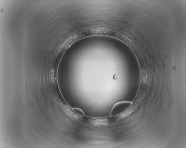 X0000059800670200510211053