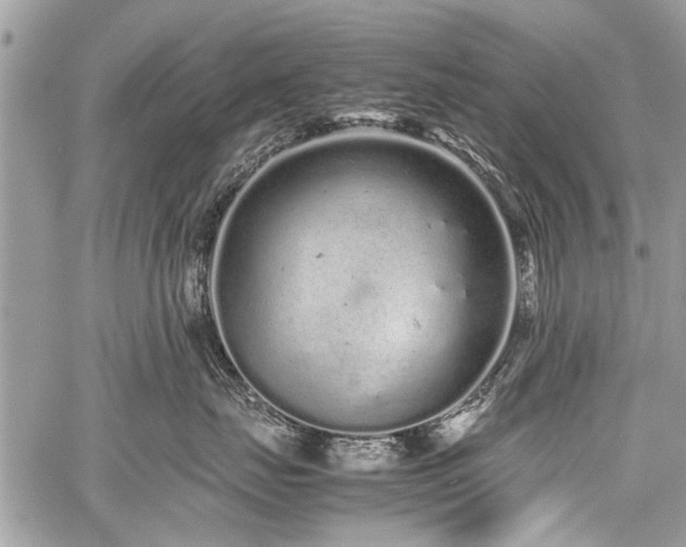 X0000059800671200510211053