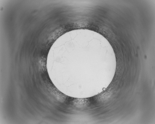 X0000059800672200510211053