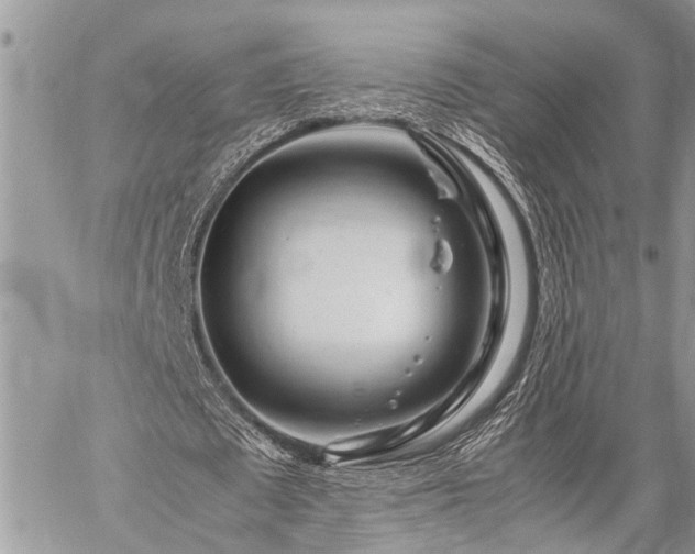 X0000059800673200510211052