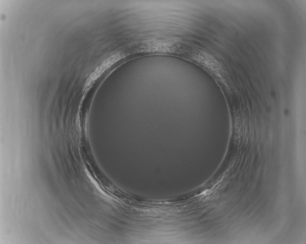 X0000059800674200510211052