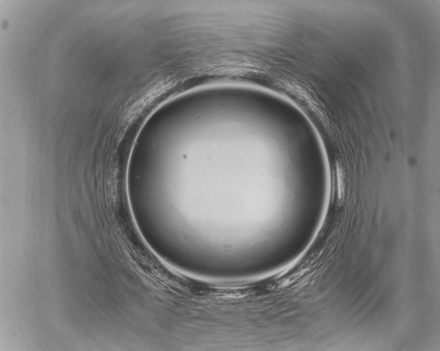 X0000059800675200510211052